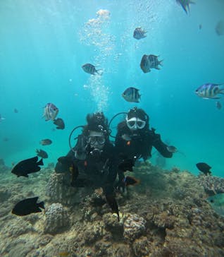 本部ダイビングショップTI.OCEANに投稿された画像（2025/9/14）