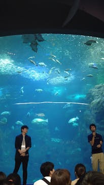 新江ノ島水族館に投稿された画像（2025/9/14）