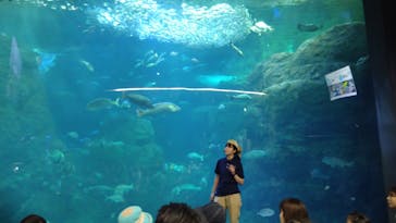 新江ノ島水族館に投稿された画像（2025/9/14）