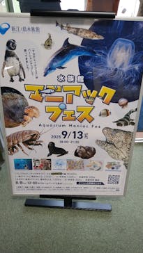 新江ノ島水族館に投稿された画像（2025/9/14）