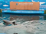 仙台うみの杜水族館に投稿された画像（2025/9/14）