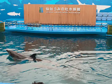 仙台うみの杜水族館に投稿された画像（2025/9/14）
