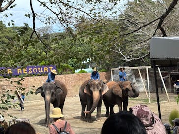 ANIMAL WONDER REZOURT 市原ぞうの国・サユリワールドに投稿された画像（2025/9/14）
