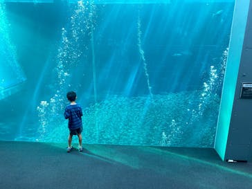 環境水族館アクアマリンふくしまに投稿された画像（2025/9/14）