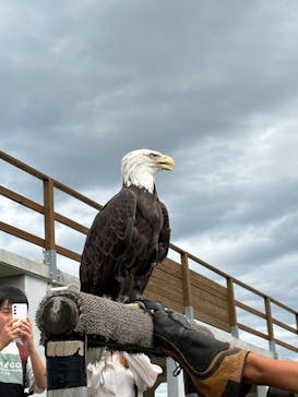 那須どうぶつ王国に投稿された画像（2025/9/14）