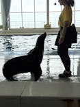 アクアワールド茨城県大洗水族館に投稿された画像（2025/9/14）