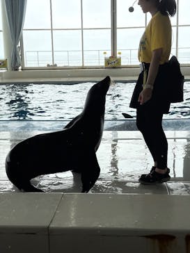 アクアワールド茨城県大洗水族館に投稿された画像（2025/9/14）