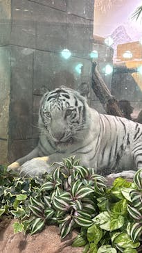 NIFREL（ニフレル）に投稿された画像（2025/9/14）