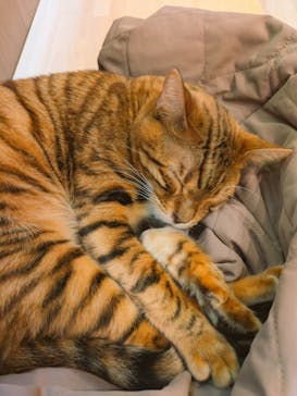 つくばわんわんランドに投稿された画像（2025/9/14）