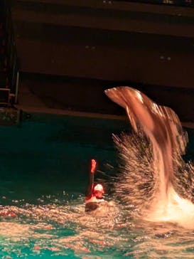 マクセル アクアパーク品川に投稿された画像（2025/9/14）