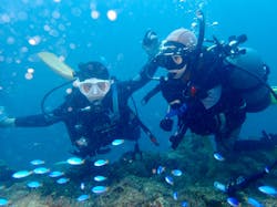 伊豆高原ダイビングスクール　リトルリッツに投稿された画像（2025/9/14）