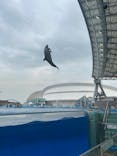 名古屋港水族館に投稿された画像（2025/9/14）