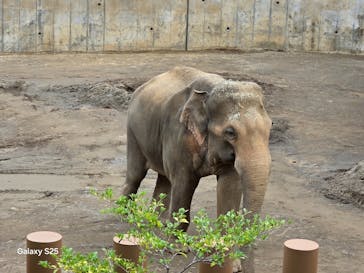 多摩動物公園に投稿された画像（2025/9/14）
