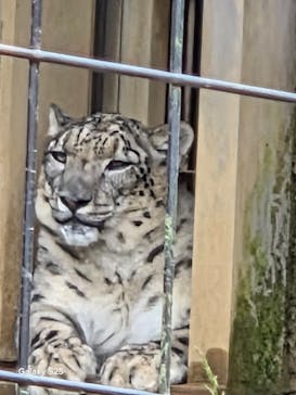 多摩動物公園に投稿された画像（2025/9/14）