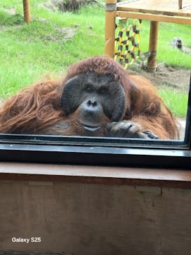 多摩動物公園に投稿された画像（2025/9/14）