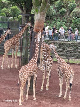 多摩動物公園に投稿された画像（2025/9/14）