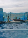 新江ノ島水族館に投稿された画像（2025/9/14）