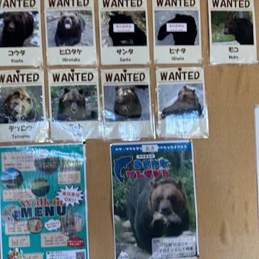 サホロリゾート　ベア･マウンテンに投稿された画像（2025/9/14）