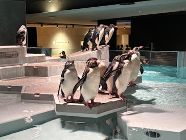 AOAO SAPPOROに投稿された画像（2025/9/14）