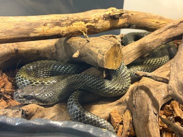 AOAO SAPPOROに投稿された画像（2025/9/14）