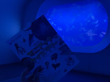 新江ノ島水族館に投稿された画像（2025/9/14）