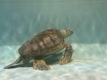 マリンワールド海の中道に投稿された画像（2025/9/14）