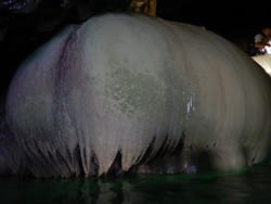 SEA ENJOY（シーエンジョイ）に投稿された画像（2025/9/14）