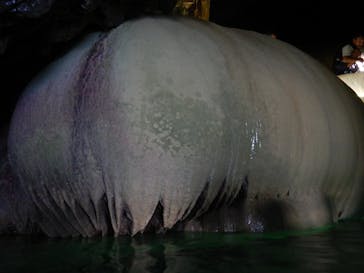 SEA ENJOY（シーエンジョイ）に投稿された画像（2025/9/14）