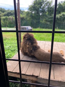 那須サファリパークに投稿された画像（2025/9/14）