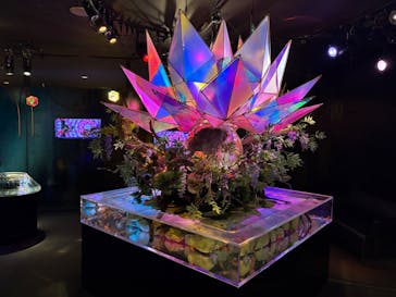 NARA KINGYO MUSEUMに投稿された画像（2025/9/14）