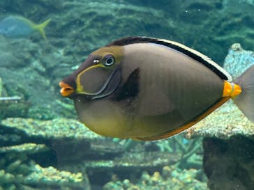 名古屋港水族館に投稿された画像（2025/9/14）