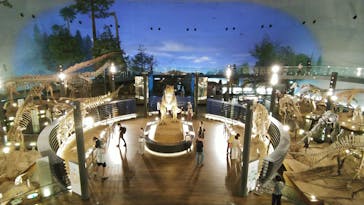 福井県立恐竜博物館に投稿された画像（2025/9/14）