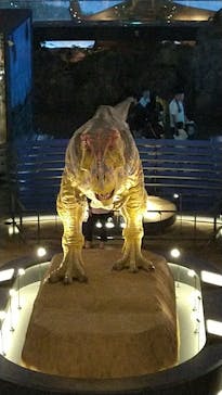 福井県立恐竜博物館に投稿された画像（2025/9/14）