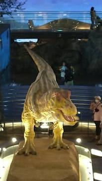 福井県立恐竜博物館に投稿された画像（2025/9/14）