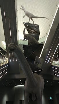 福井県立恐竜博物館に投稿された画像（2025/9/14）