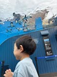 サンシャイン水族館に投稿された画像（2025/9/14）