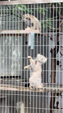 名古屋市東山動植物園に投稿された画像（2025/9/14）