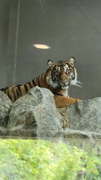 名古屋市東山動植物園に投稿された画像（2025/9/14）