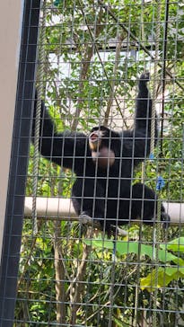 名古屋市東山動植物園に投稿された画像（2025/9/14）