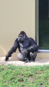 名古屋市東山動植物園に投稿された画像（2025/9/14）