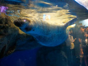 マクセル アクアパーク品川に投稿された画像（2025/9/14）