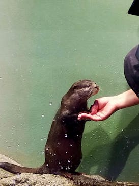 マクセル アクアパーク品川に投稿された画像（2025/9/14）