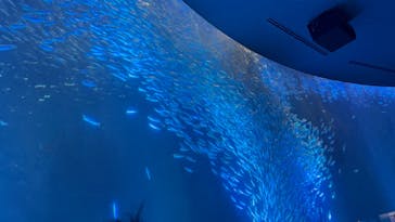 名古屋港水族館に投稿された画像（2025/9/14）