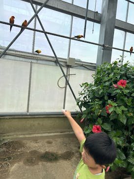 掛川花鳥園に投稿された画像（2025/9/14）