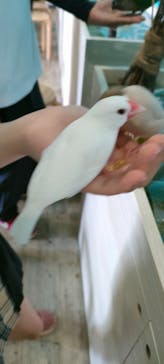 Moff animal cafe iias つくば店に投稿された画像（2025/9/14）