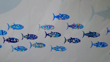 葛西臨海水族園に投稿された画像（2025/9/14）