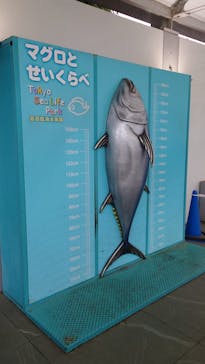 葛西臨海水族園に投稿された画像（2025/9/14）