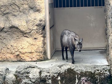 恩賜上野動物園に投稿された画像（2025/9/14）