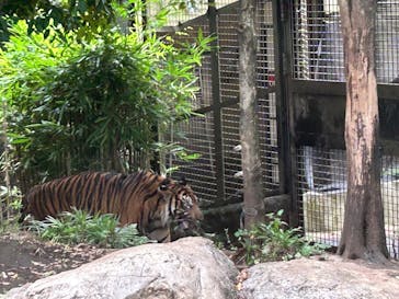 恩賜上野動物園に投稿された画像（2025/9/14）