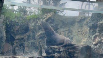 環境水族館アクアマリンふくしまに投稿された画像（2025/9/14）